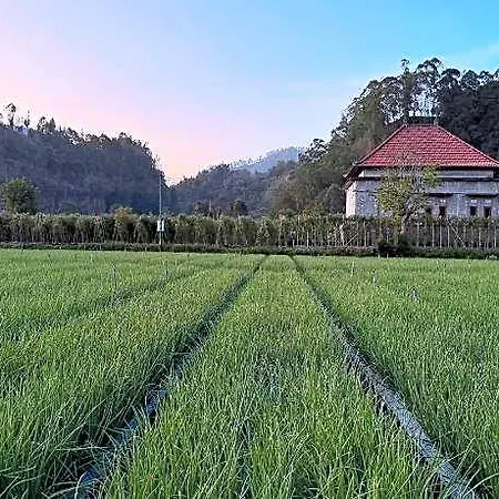 Batur Caldera Guest House