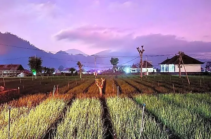 Batur Caldera فندق بالي