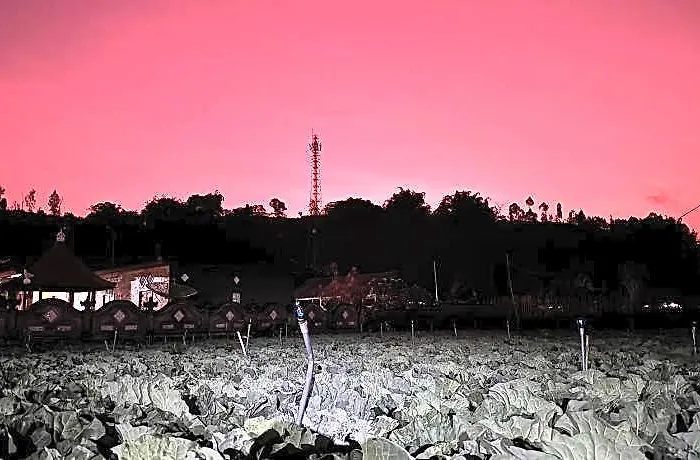 فندق Batur Caldera 2*